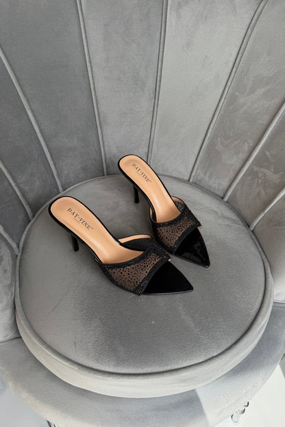 MULES SCINTILLA