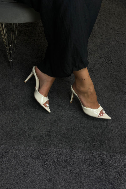 MULES IN VERNICE BURRO